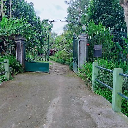 Rumah Sawah Ngabean Buitenkant foto