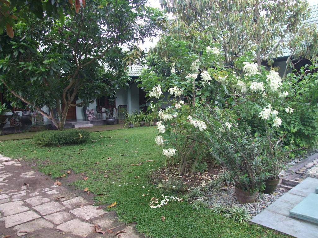 Rumah Sawah Ngabean Buitenkant foto