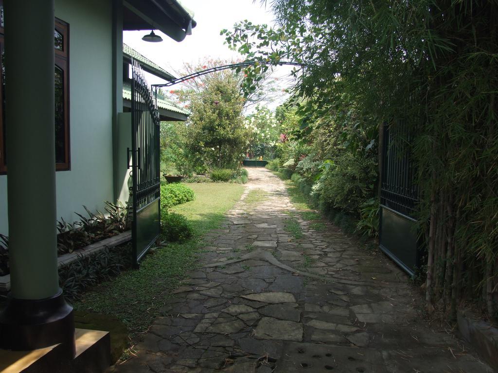 Rumah Sawah Ngabean Buitenkant foto