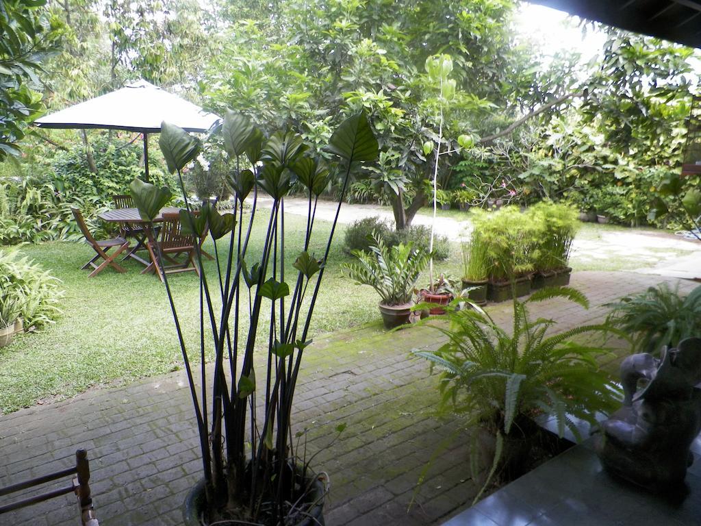 Rumah Sawah Ngabean Buitenkant foto